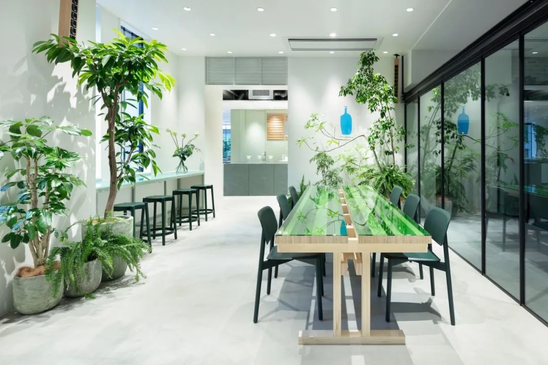 京都蓝瓶咖啡馆 | 绿色与黑白的完美融合-12