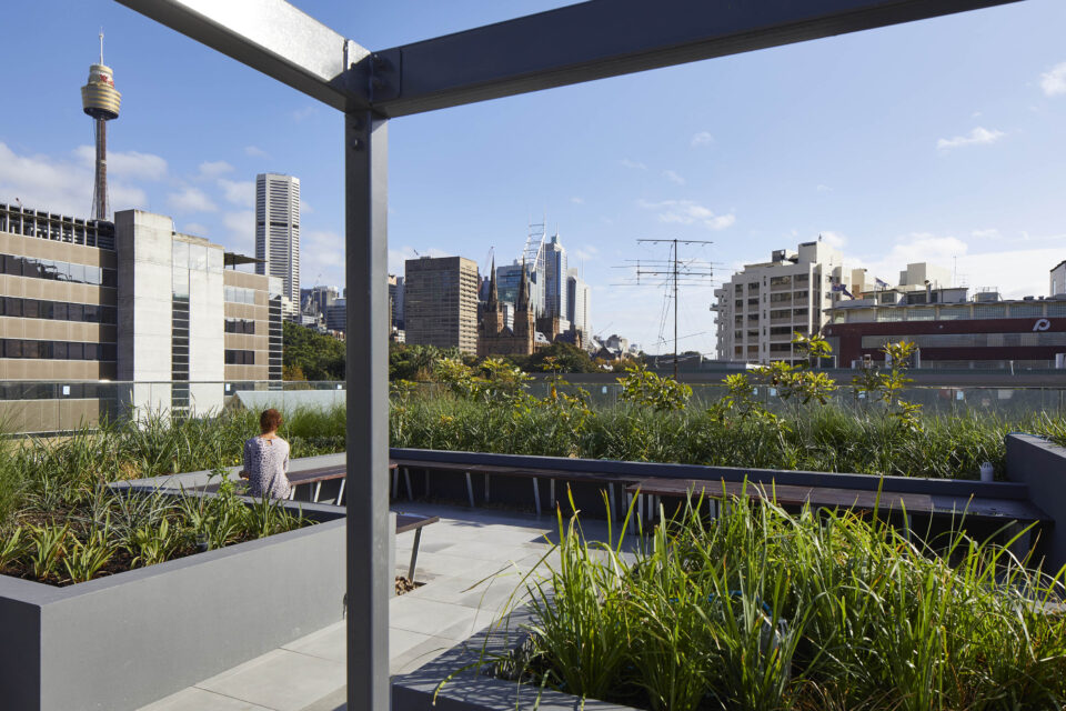 East Sydney Collection -8