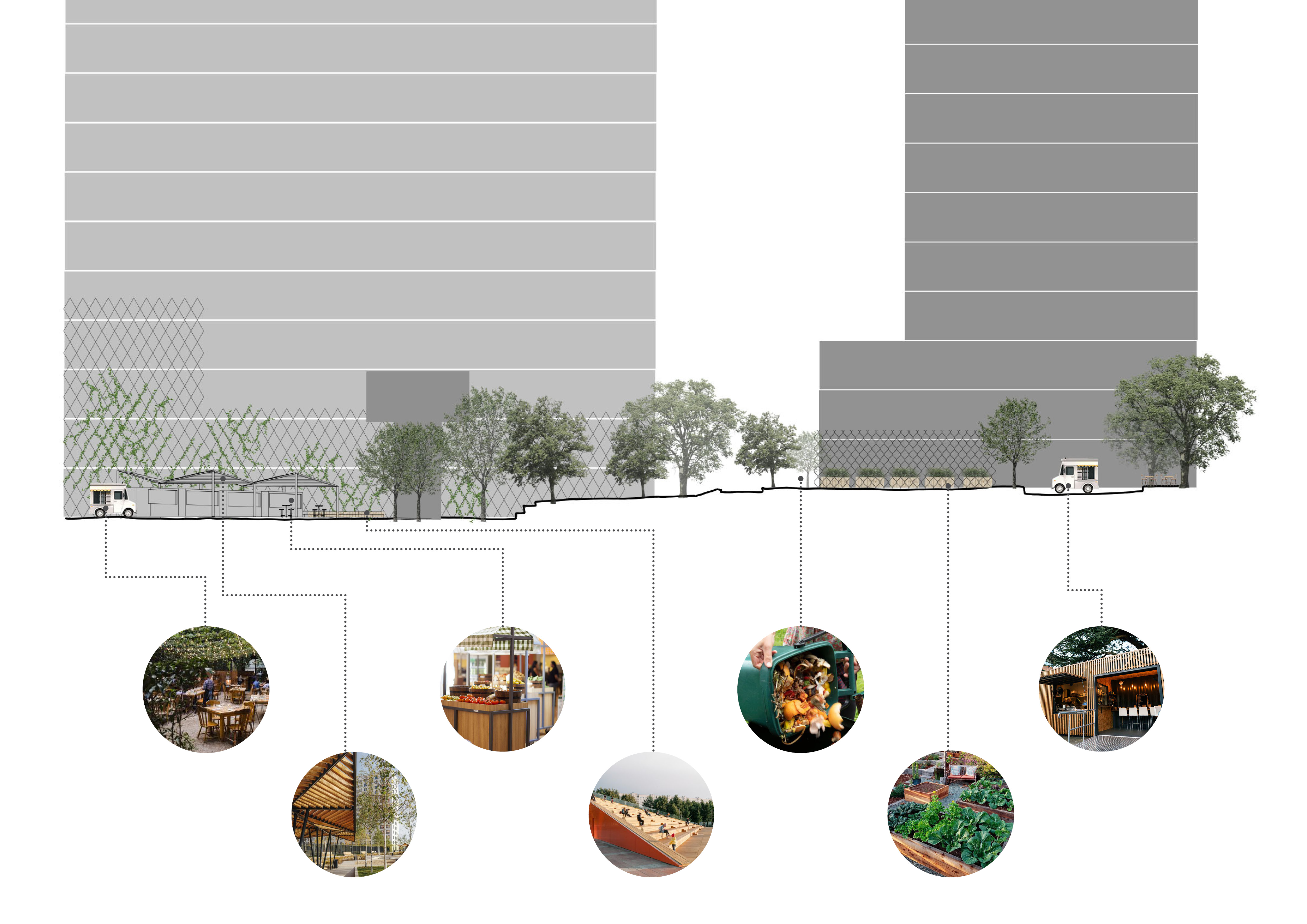城市生物群丨巴西圣保罗-16