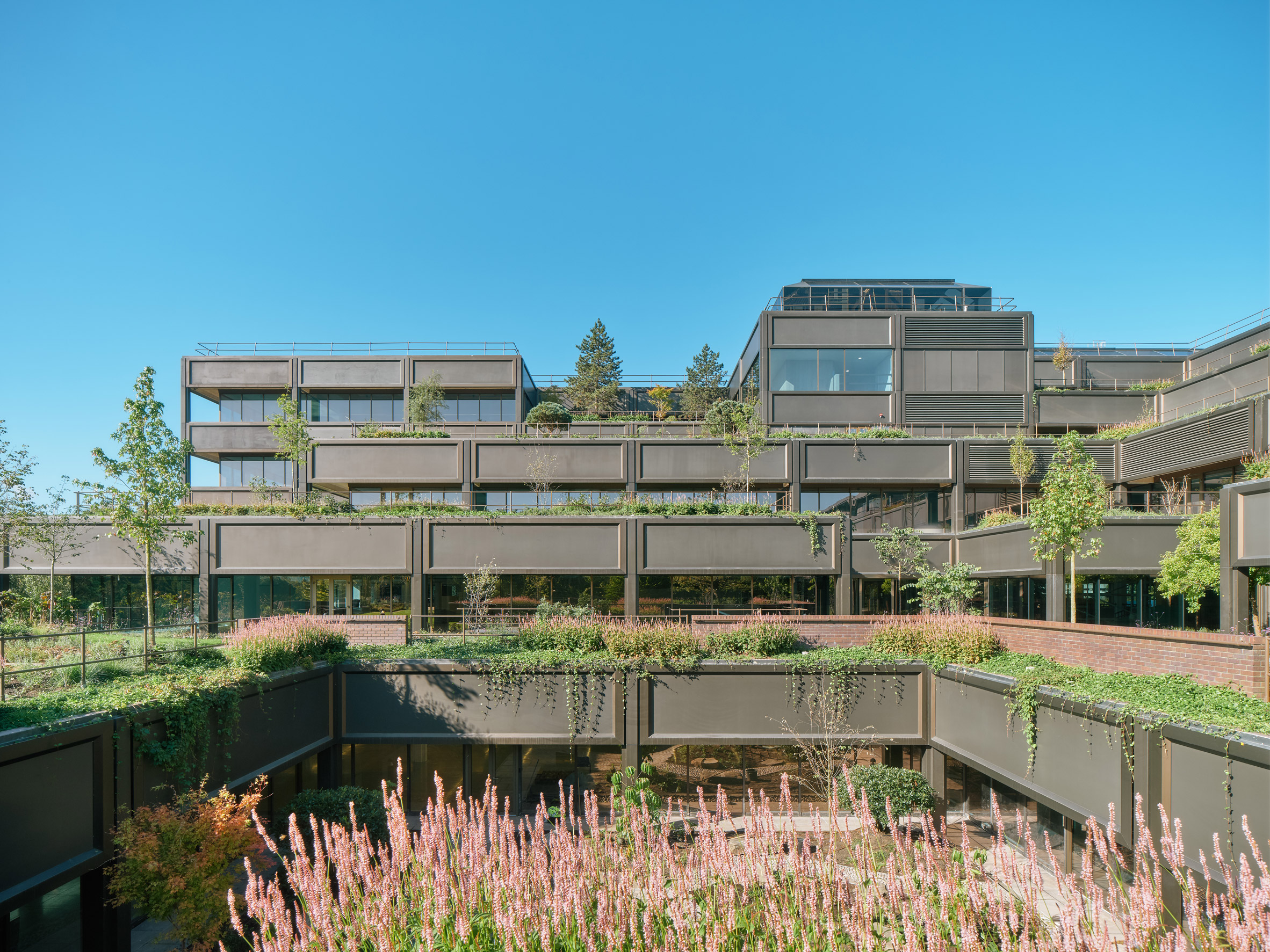 British studios regenerate landmark "Hanging Gardens of Basingstoke" office-9