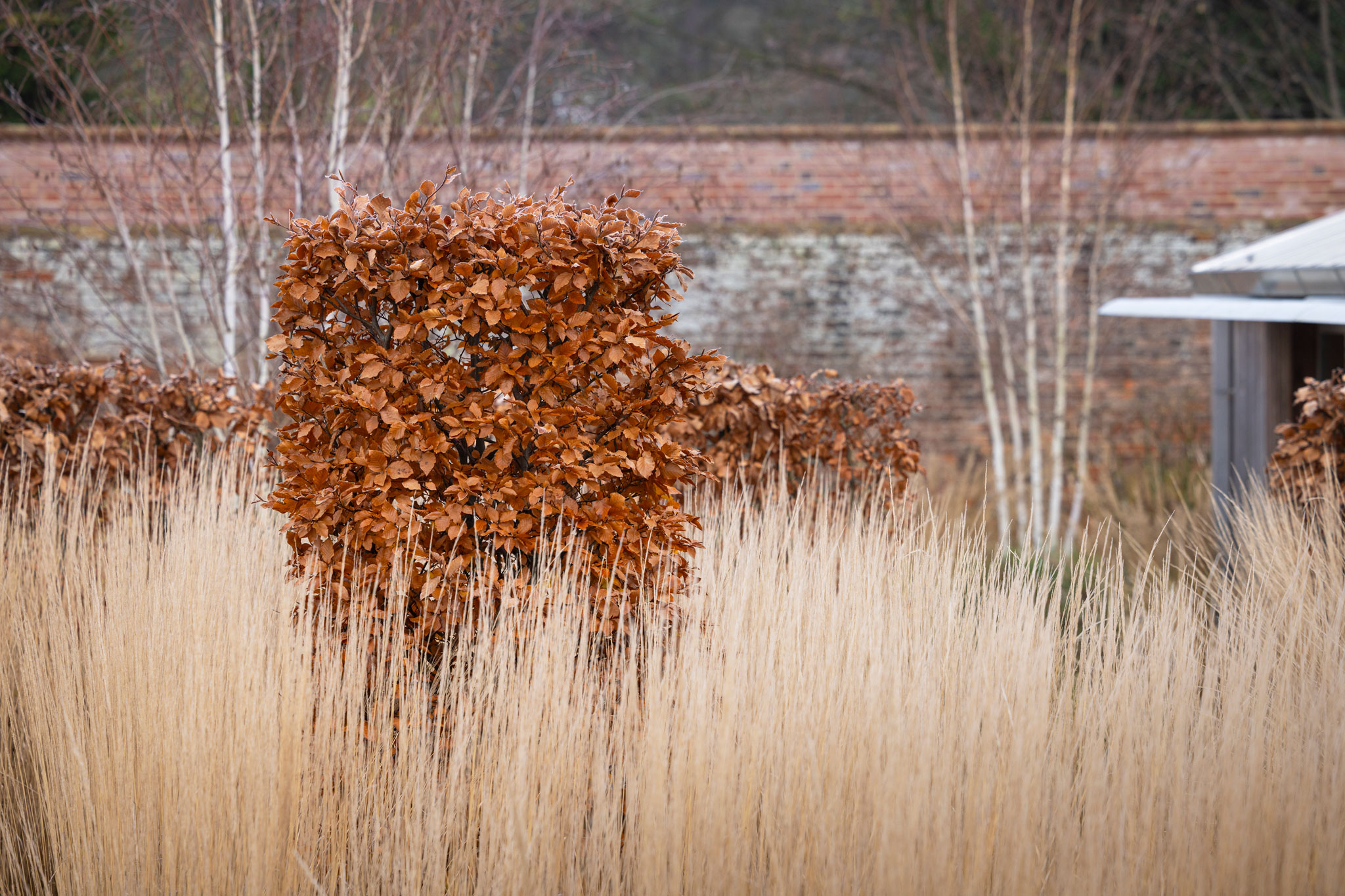 诗意中游弋 | Colm Joseph-144