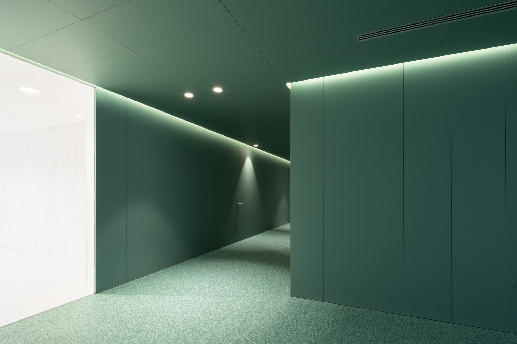 Allergology Department - Hospital of Navarre / GVG Estudio-10