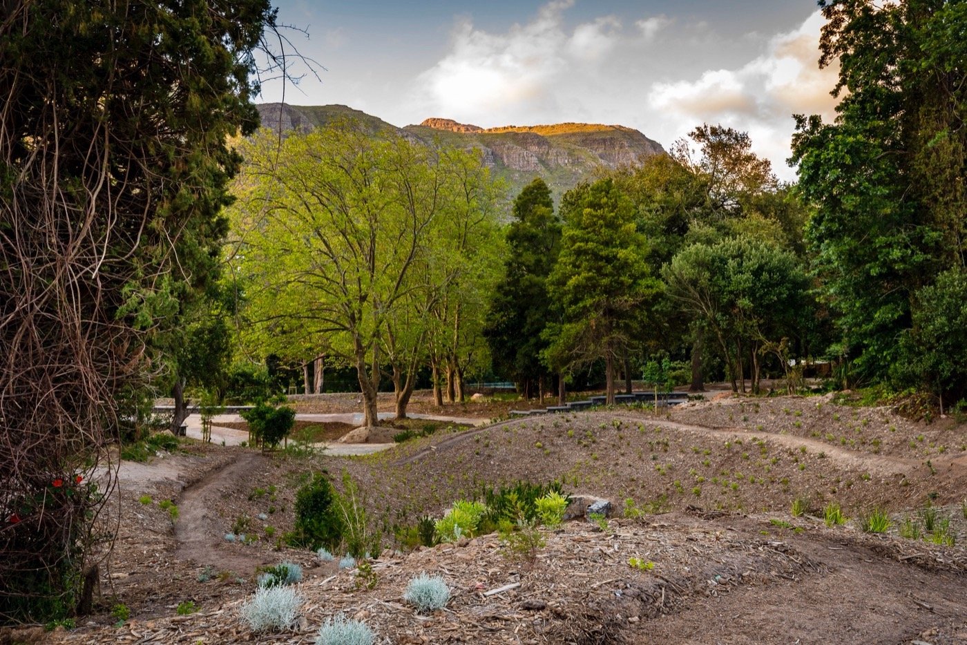 南非阿普尔加思庄园-8