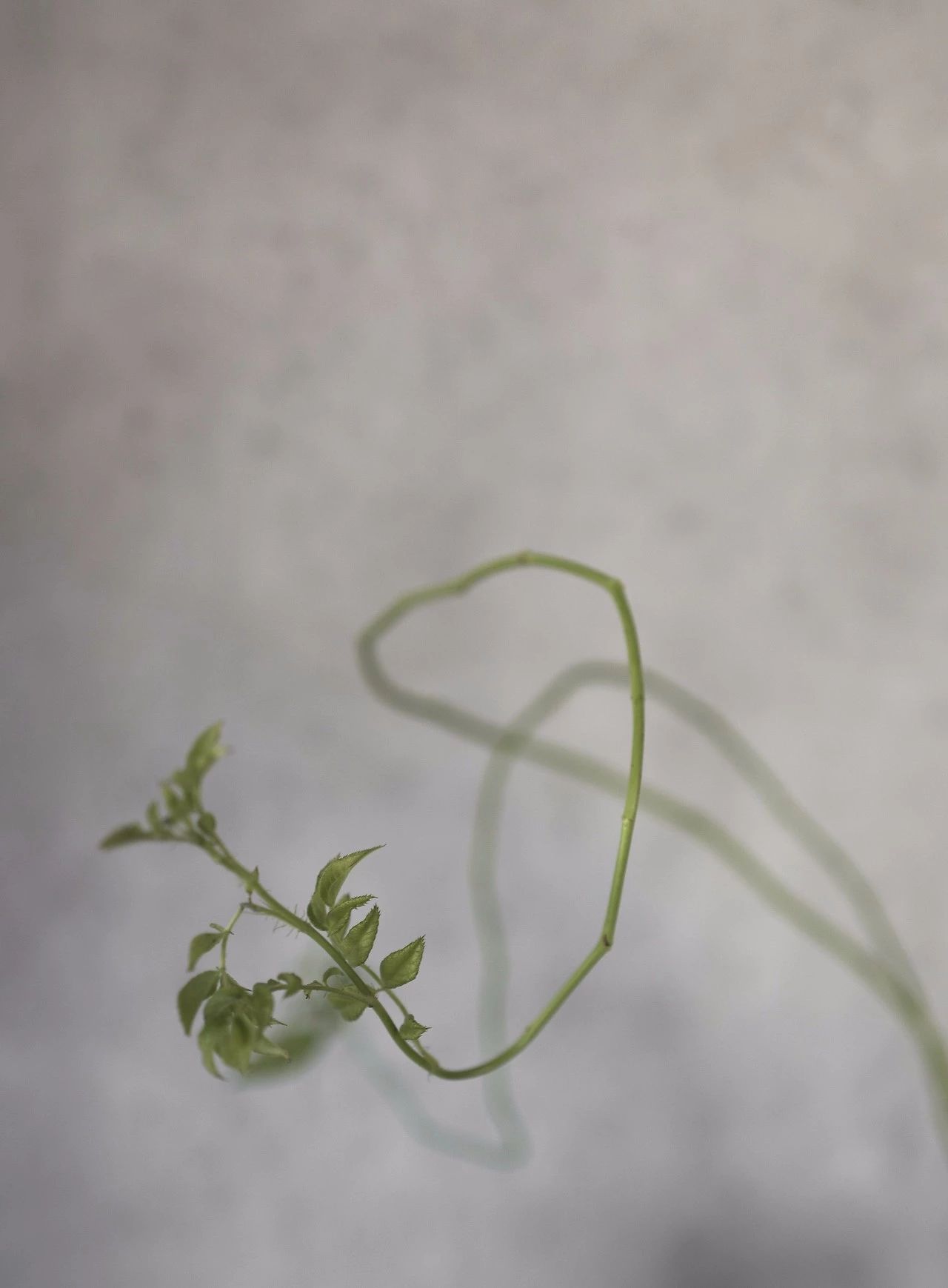 哥本哈根 700 平方米菜单空间,打造创意社区-19