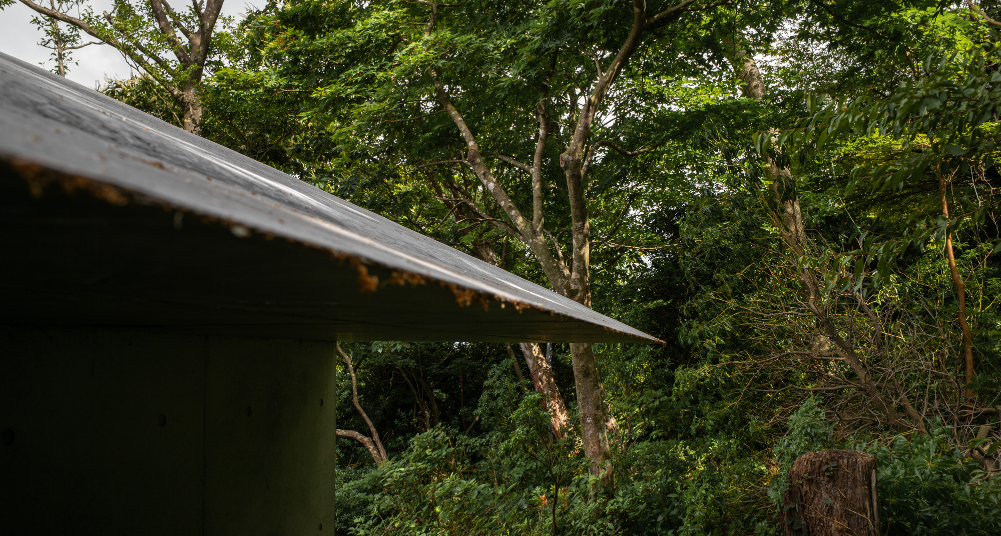 丨日本丨Florian Busch Architects-26