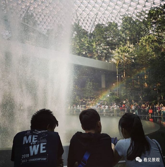 星耀樟宜 | 雨漩涡与绿意交织的机场奇迹-59