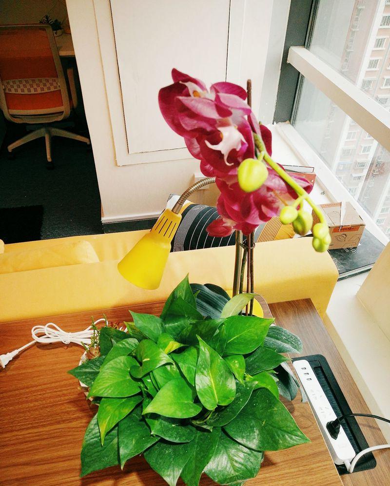 名敦道独立办公室 | 38平米打造多功能办公空间-17