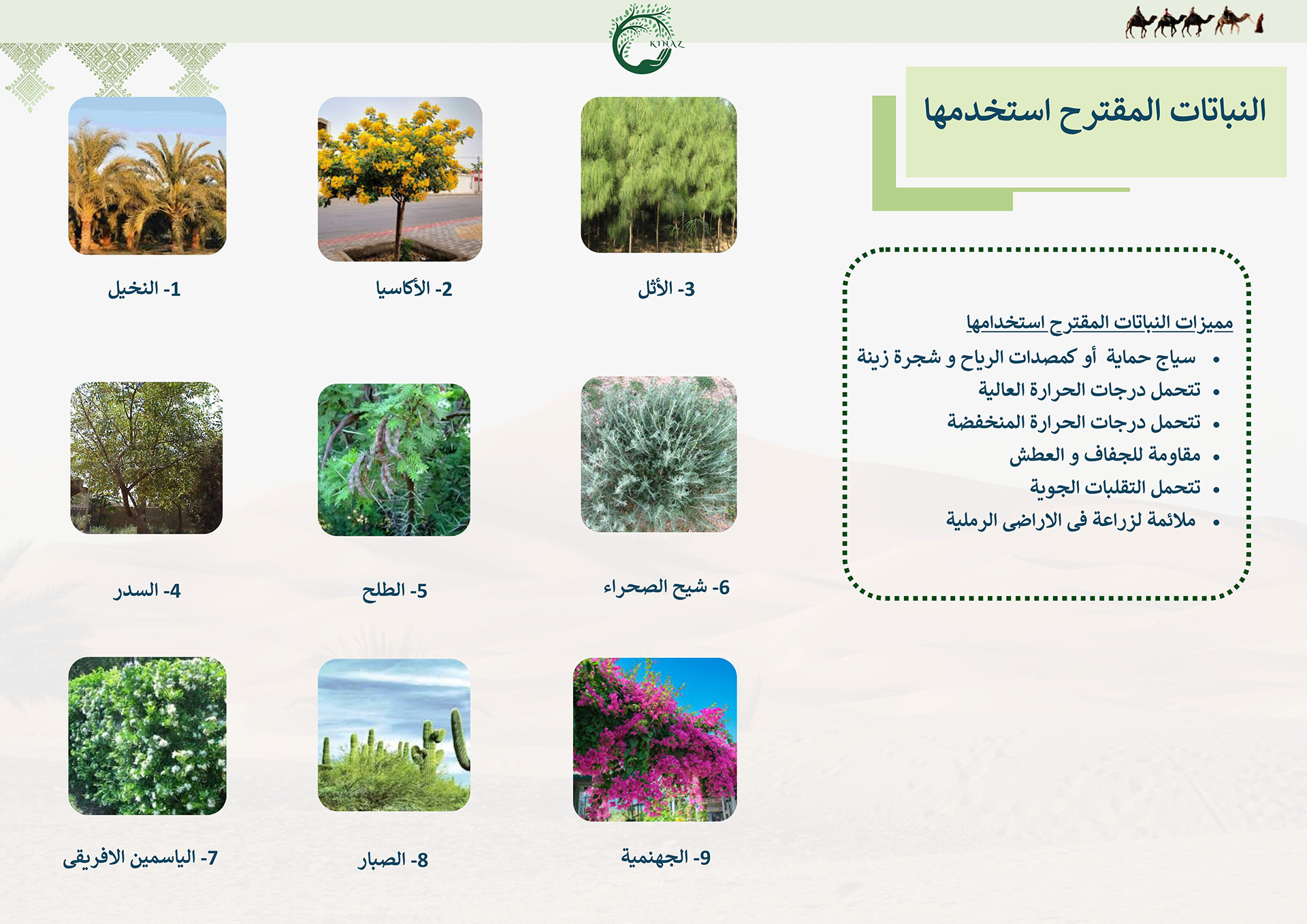 Kinaz村项目丨Hossam salama-18