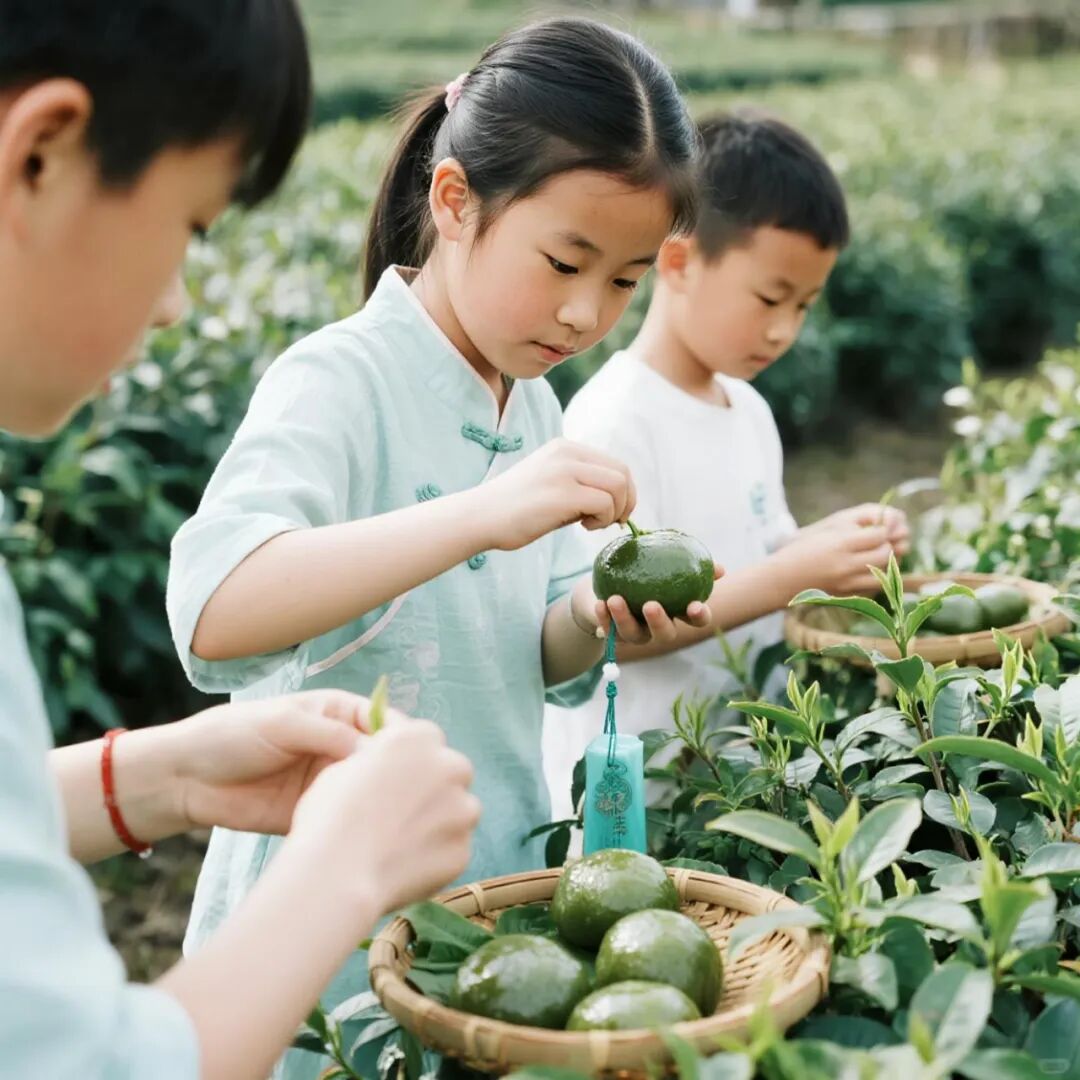 【自然疗愈·亲子研学】华中秘境|打造沉浸式中医药主题亲子营地：种植体验×手作工坊×节气课程全案解析-130