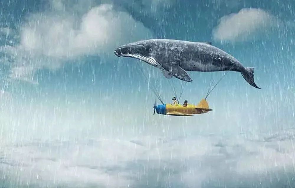 资阳天翊京皓·云麓 177 售楼处丨中国资阳丨九度设计成都公司-62