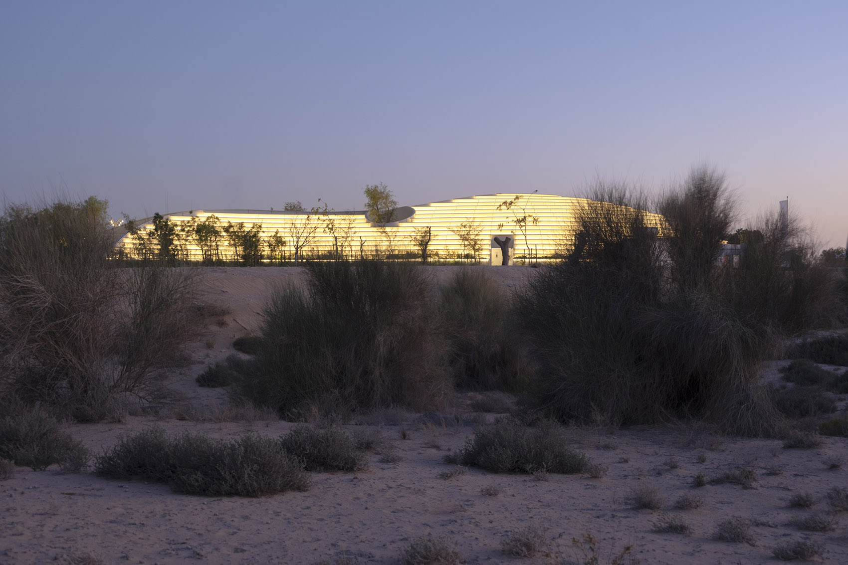 Ghaf Woods体验中心丨阿联酋迪拜丨竞赛和方案设计为aoe事建组,扩初及后续为STUDIOI-59