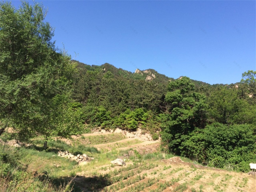 昆嵛山国家级自然保护区基础设施设计项目丨大小景观团队(Atelier Scale)-67