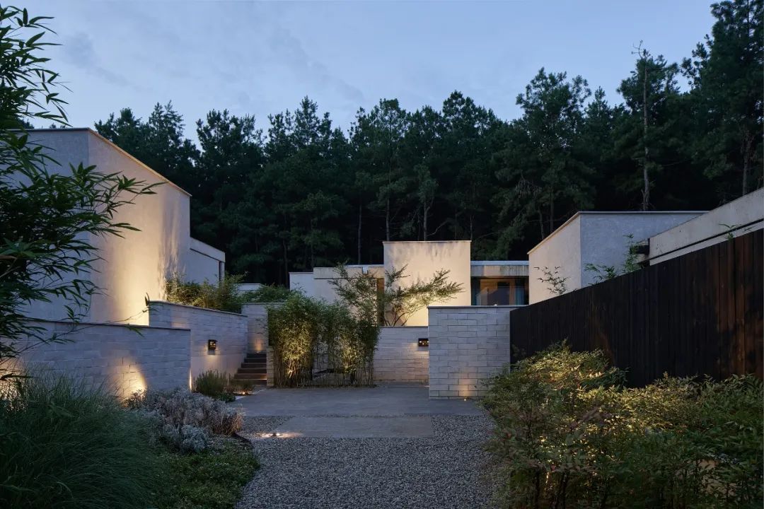 山谷松林里的隐世秘境之旅｜PrivateJourneyinthePineryValley-215