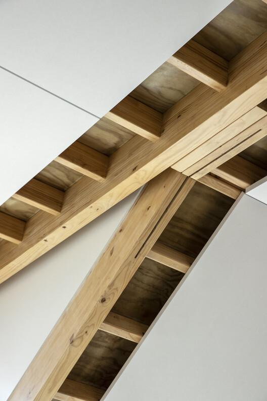 奥克兰动物园管理大楼的绿色办公空间丨新西兰奥克兰丨Ignite Architects-27