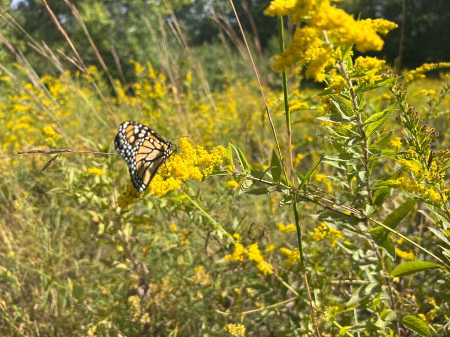 MT·汤姆北步道起点公园丨美国丨Dodson & Flinker-6