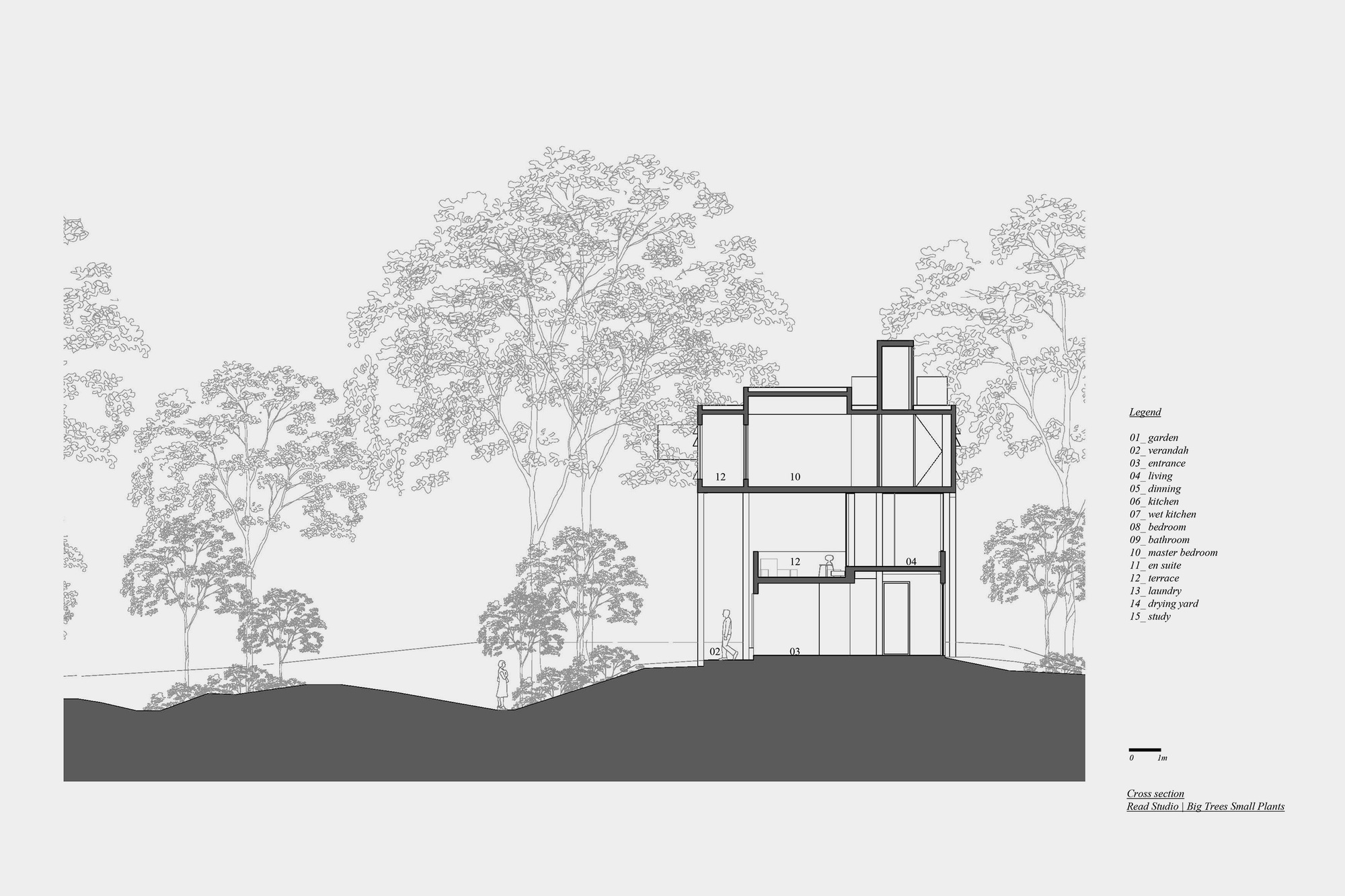 大树小植物屋丨Read Studio-28