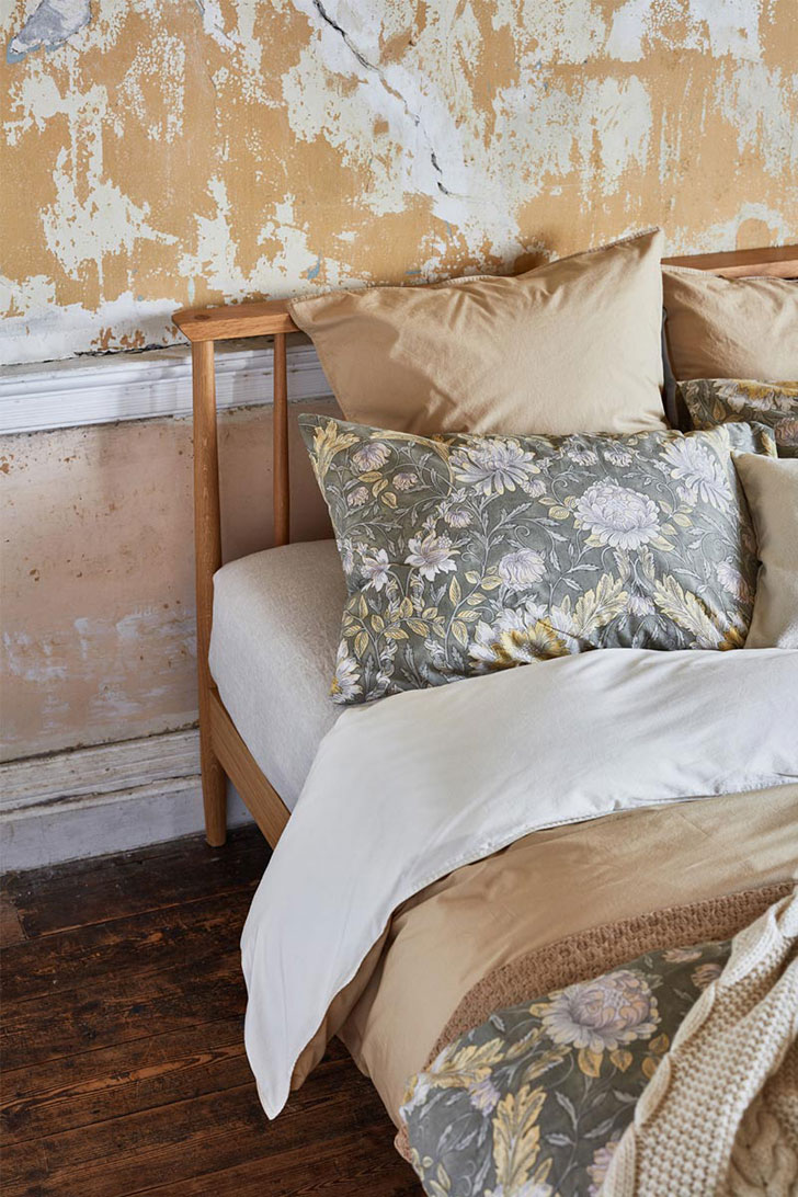 植物秋季系列-20