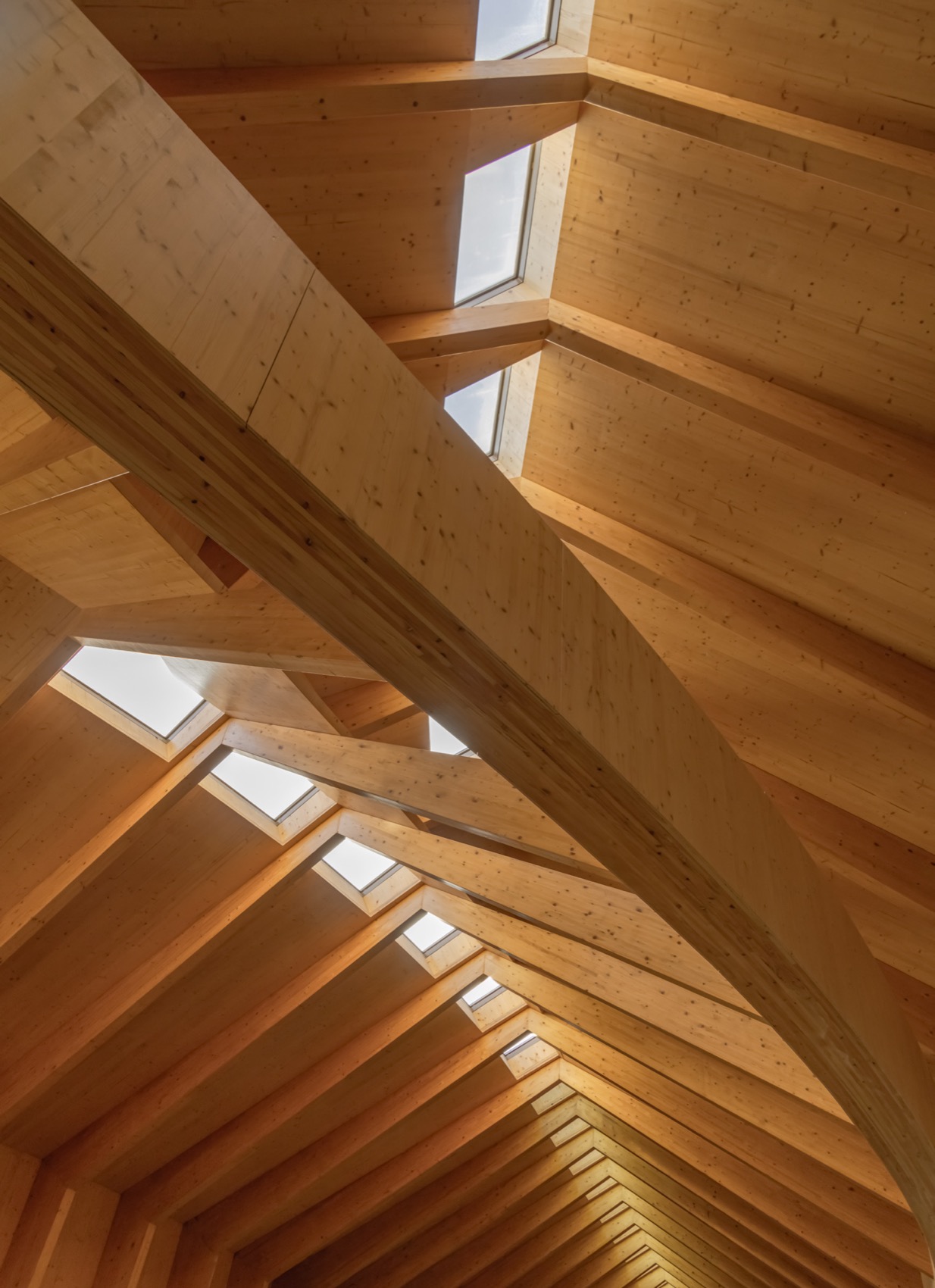 Quinta de Adorigo酒庄丨葡萄牙杜罗丨Atelier Sergio Rebelo等多家团队及个人-100