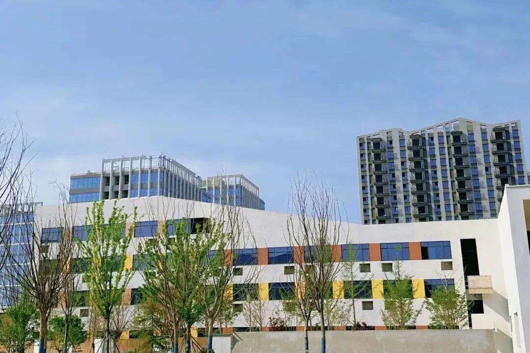 数字产业新地标！中建八局郑州鲲鹏软件小镇项目竣工-69