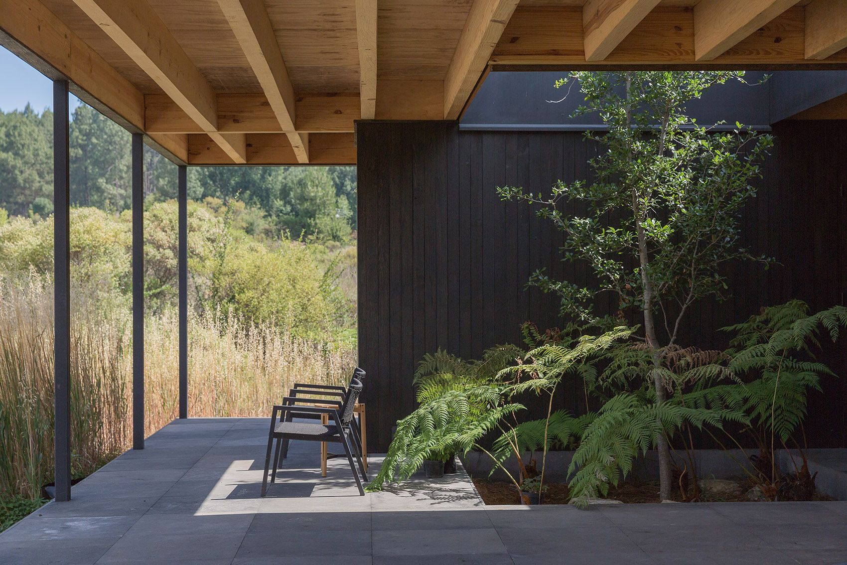 墨西哥雨水收集之家丨Robert Hutchison Architecture + JSa-95