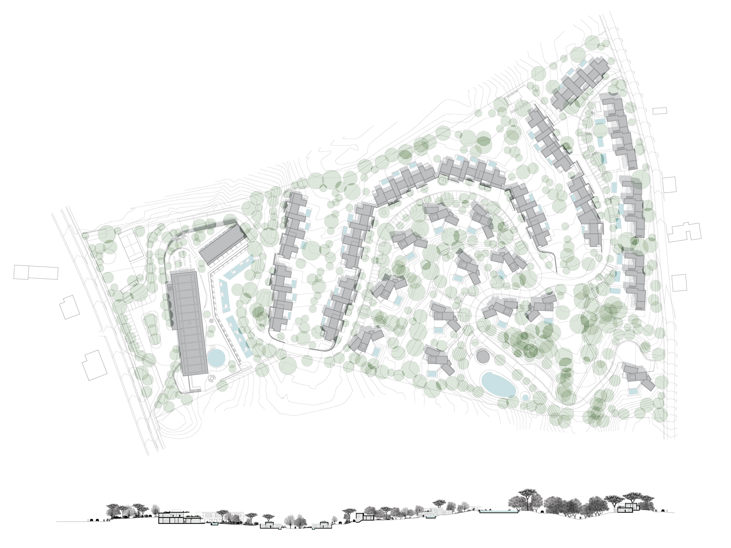 丨葡萄牙丨无提及-16