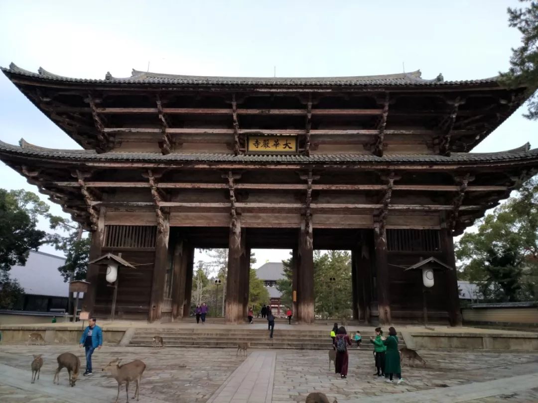 日本寺庙建筑魅力 | 传统与现代的完美融合-22