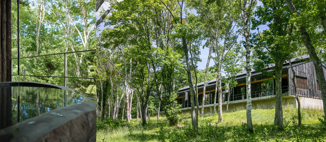 坐忘林酒店丨日本丨中山真琴-2