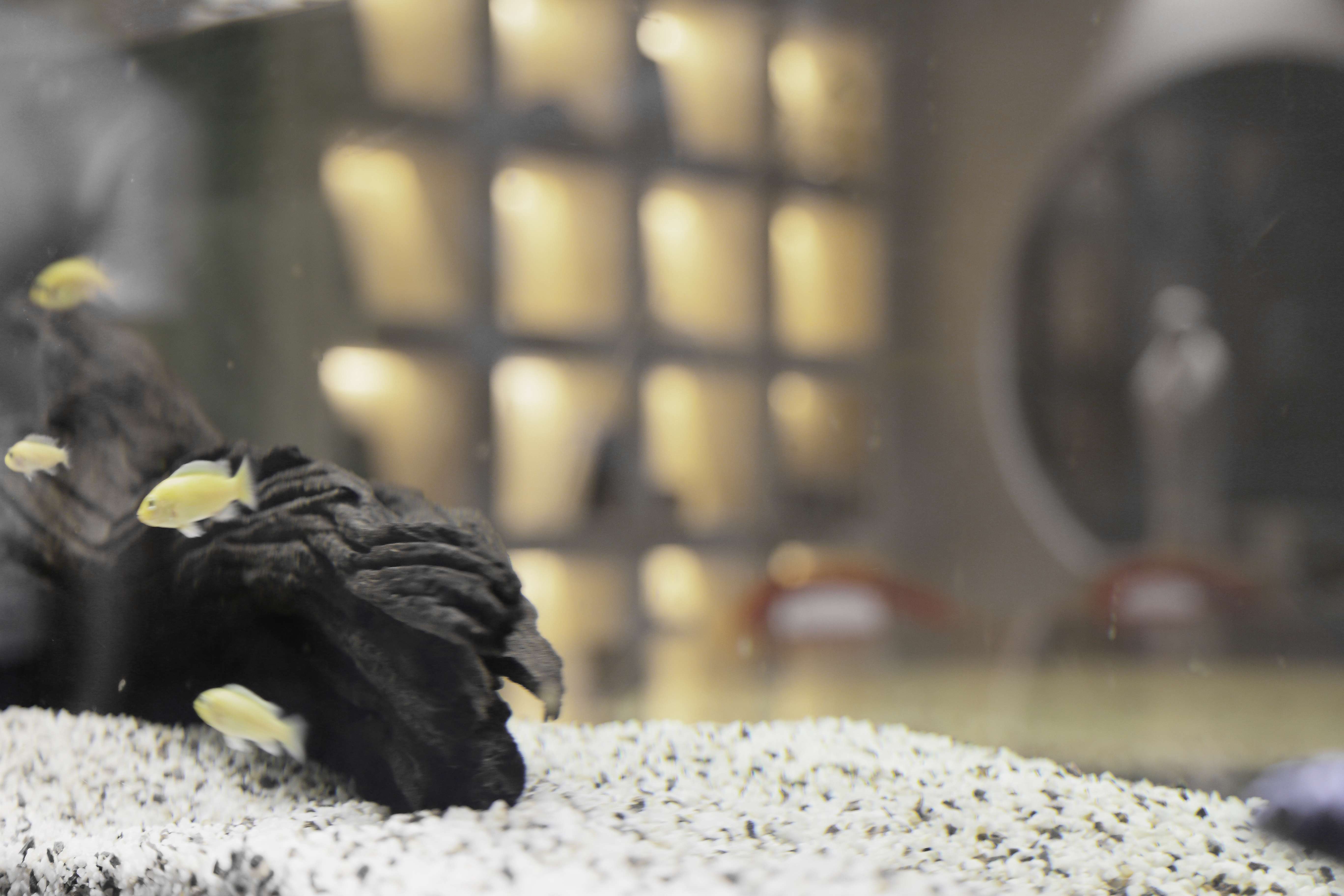 南京刘波原创工作室（办公室）-0