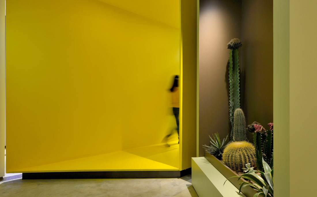 色彩沉浸式体验 · 大同首家本杰明色彩体验店丨中国大同丨HOOOLD 设计-2