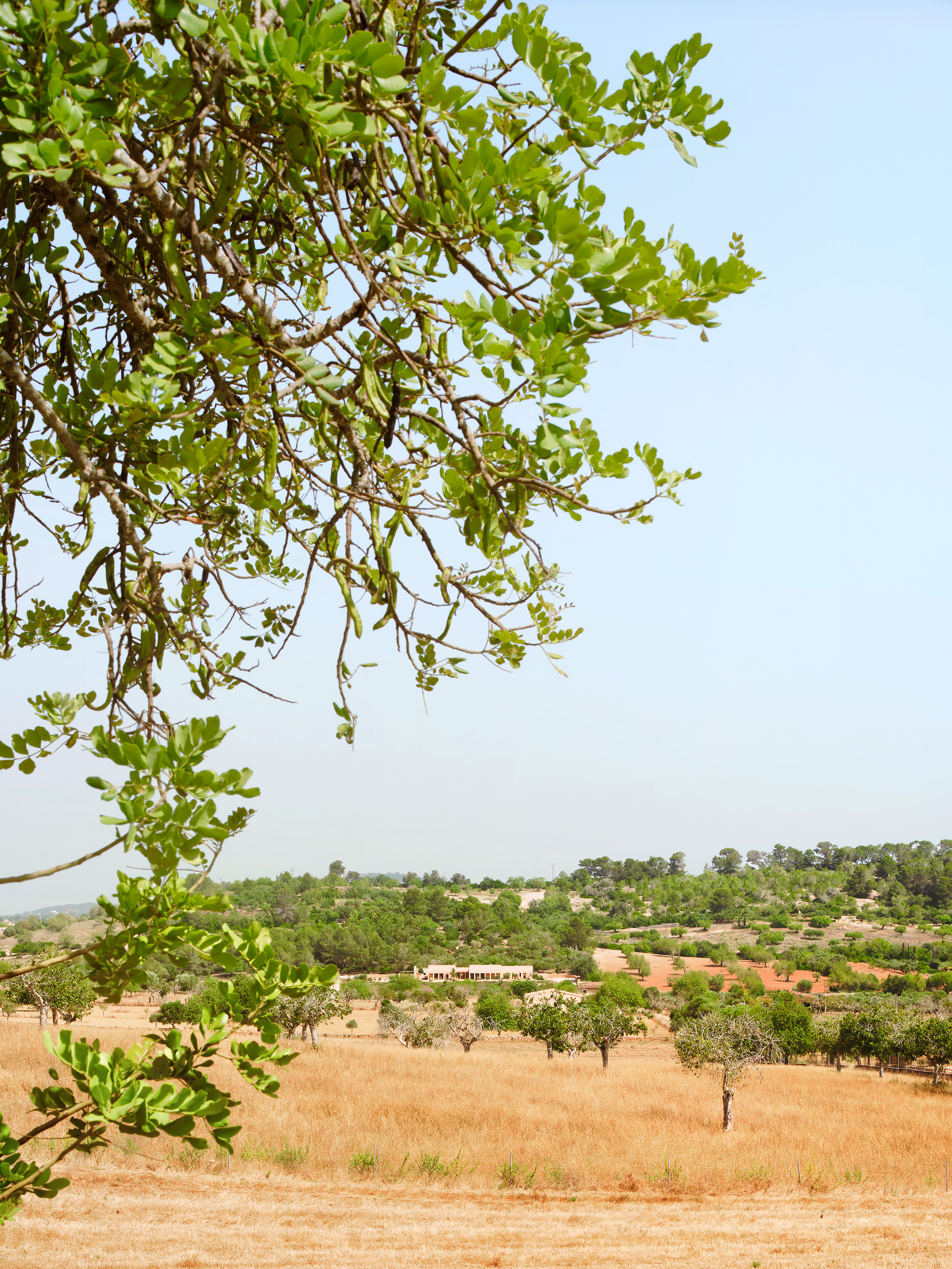 丨西班牙丨OAM – Office Architecture Mallorca-2