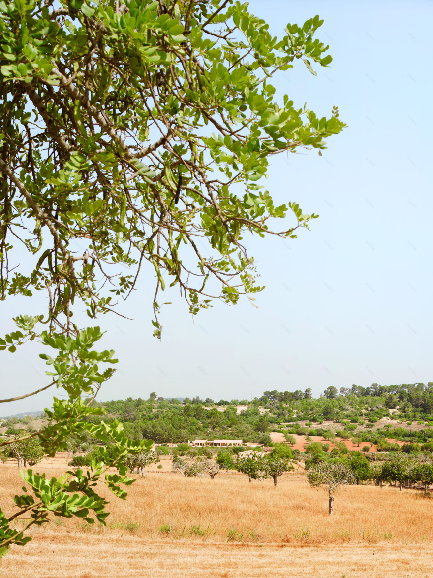 丨西班牙丨OAM – Office Architecture Mallorca-2