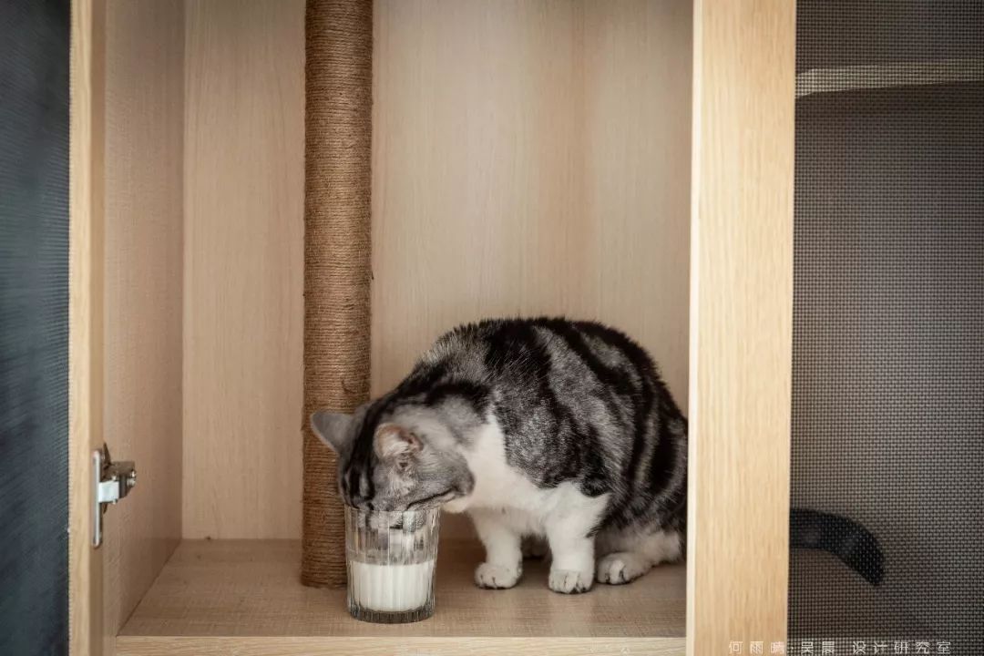 原木自然系家居,打造多才摄影师的温馨生活空间-42