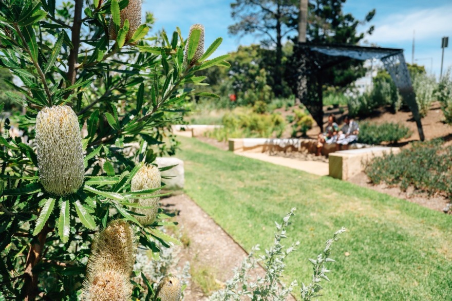 悉尼 St Leonards 健康组织迁址丨澳大利亚悉尼丨Arcadia Landscape Architecture-26