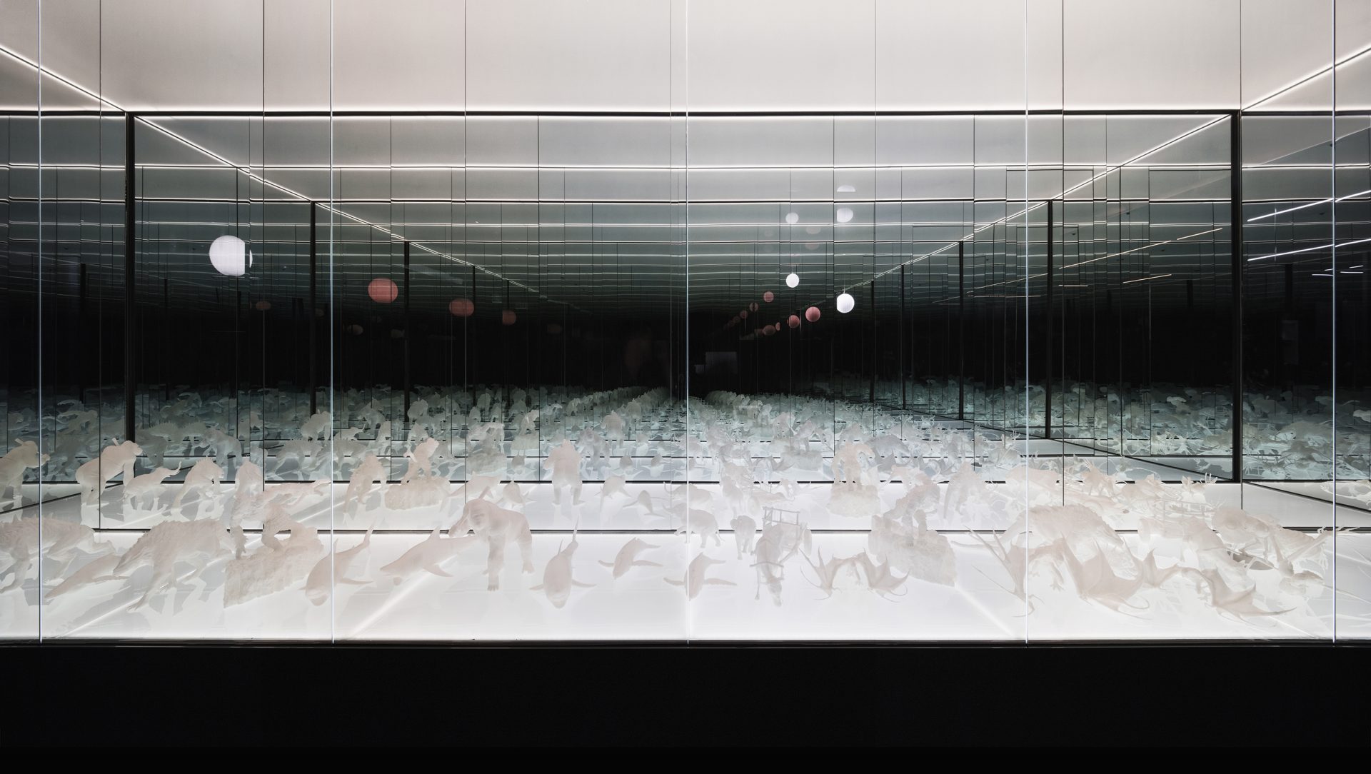 DEXTER STUDIOS WGNB-1