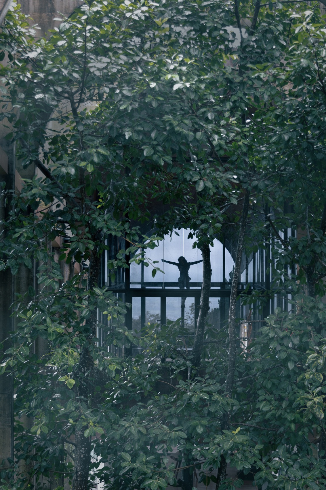 圣殿隧道花园丨印度丨RAD+AR-40