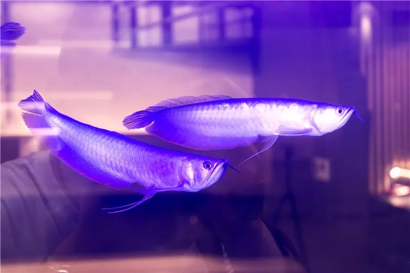 白色敬畏，现代办公空间的艺术探索-23