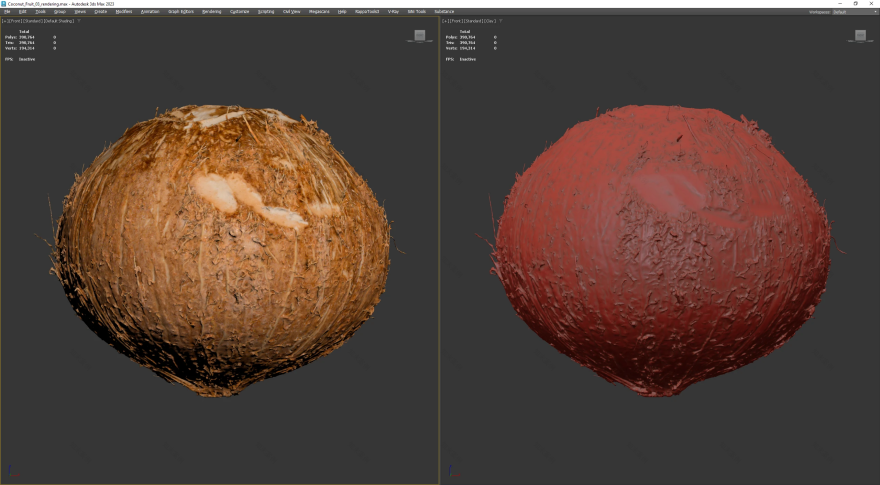 Coconut Fruit 03(3D椰子水果模型项目)-10