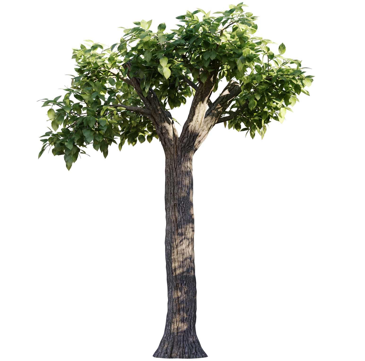 四季园林美景-9