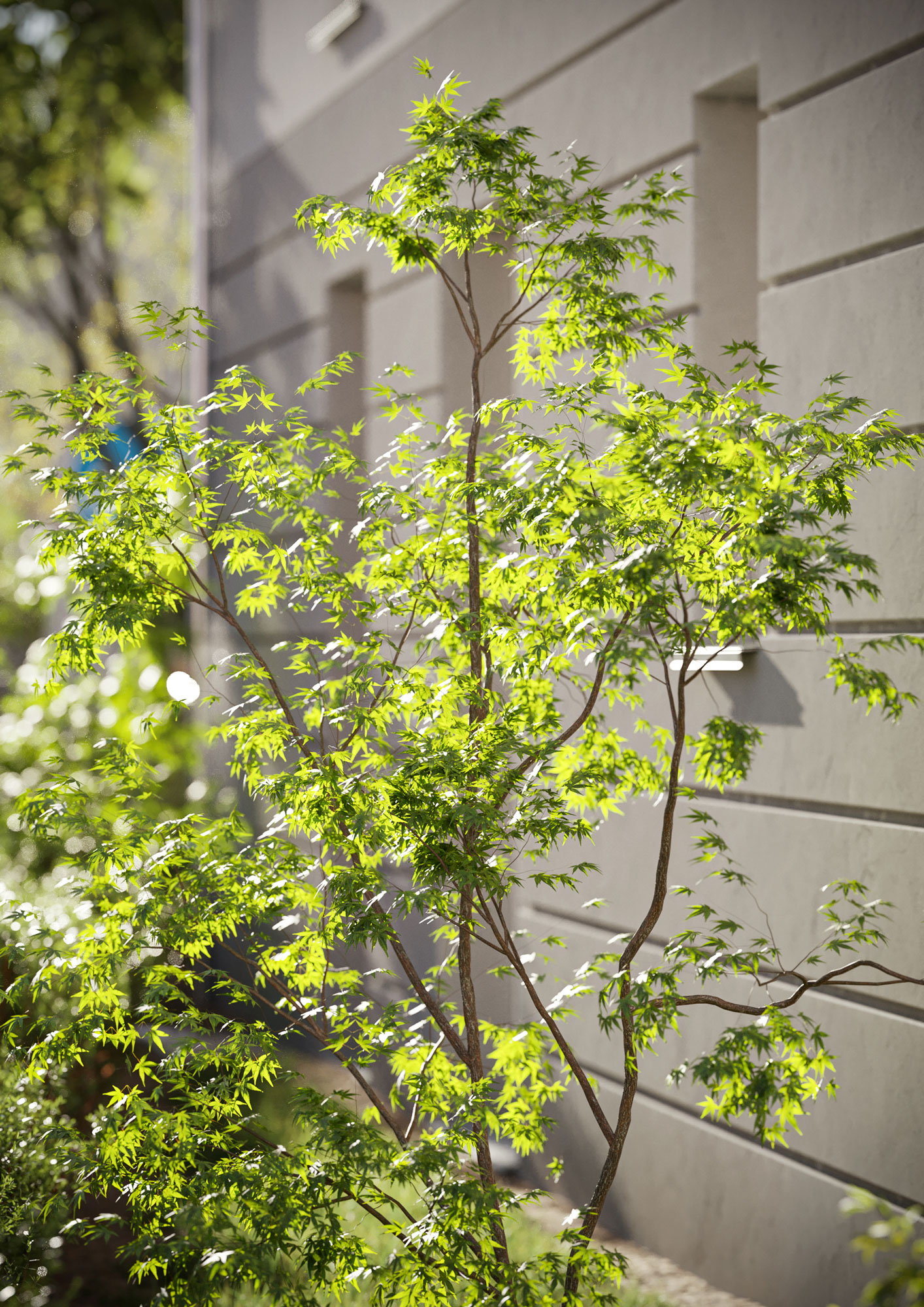 Mariengärten MFH可视化项目丨Helldoor Visual Studio-18