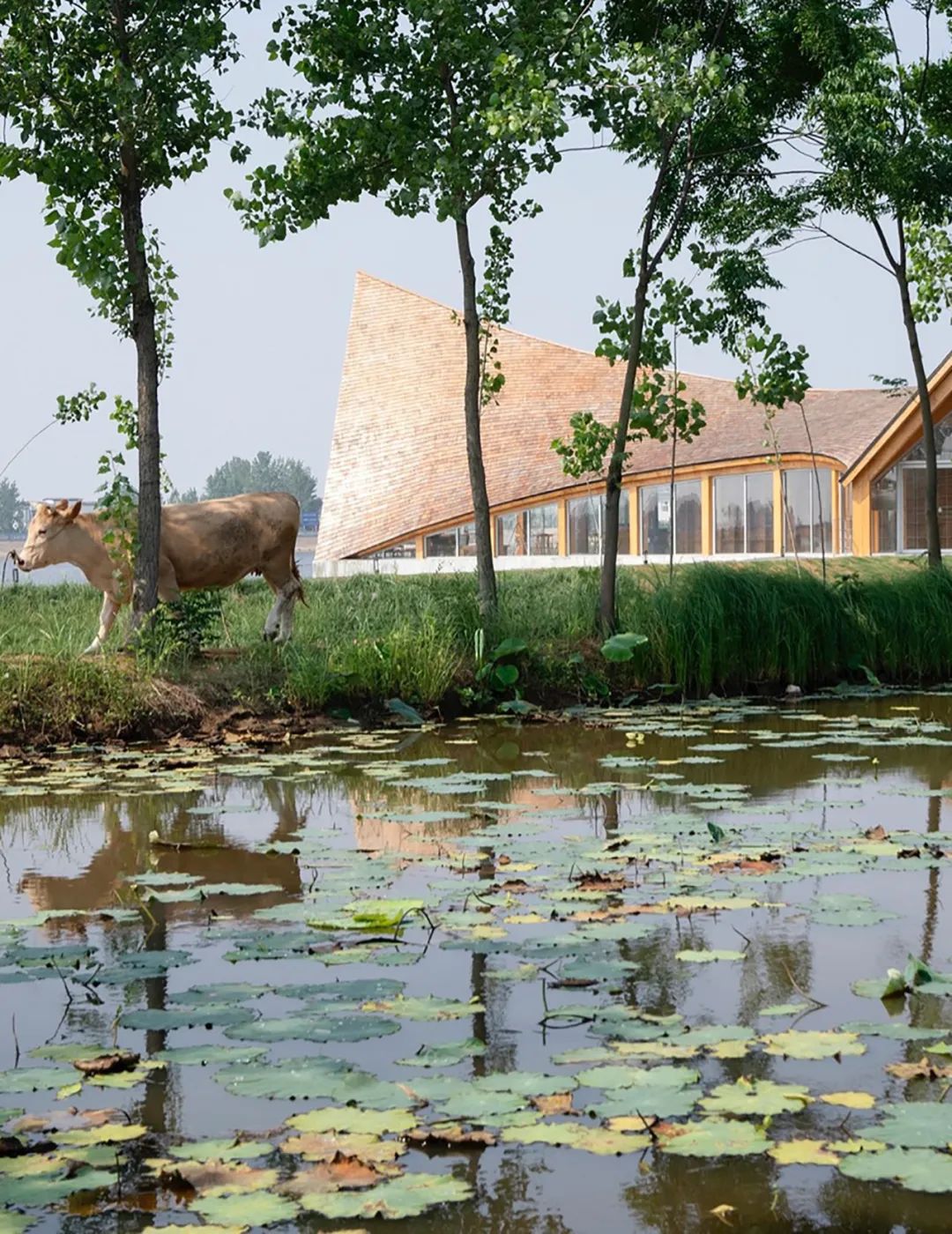 新作 信阳浮舟纪·村民中心丨中国信阳丨原初建筑设计事务所-4