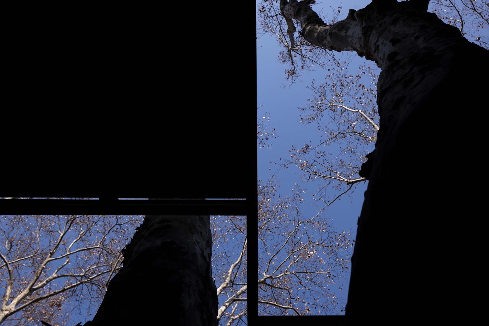 鲁迅公园咖啡亭，上海 / 是所设计-67