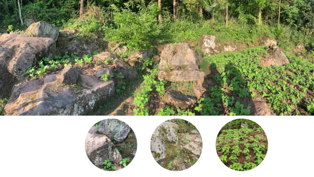 《青榭竹里》 | 即兴创作实践,重拾建筑温度-39