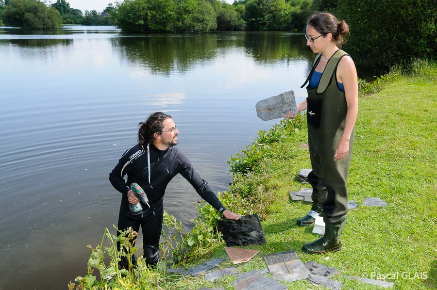 Etangs d'art 2014 :  -19