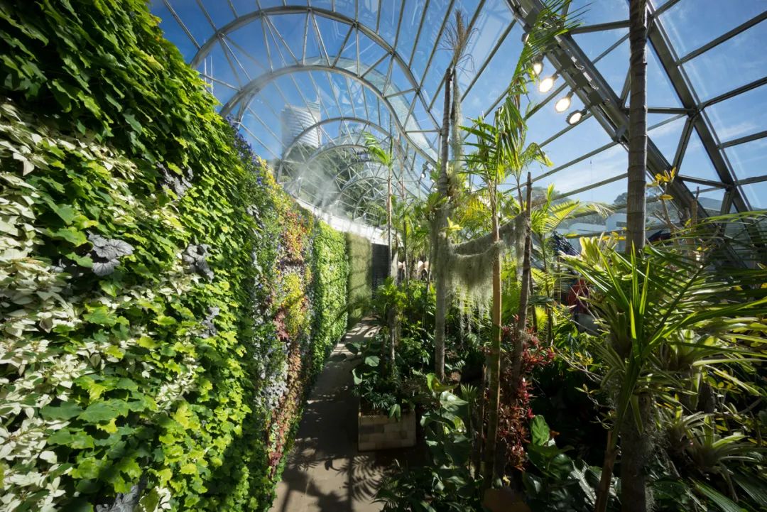 悉尼皇家植物园“花萼”建筑丨澳大利亚悉尼丨PTW Architects-71