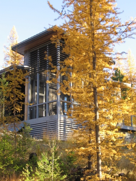 丨美国华盛顿丨HARRISON architects-3