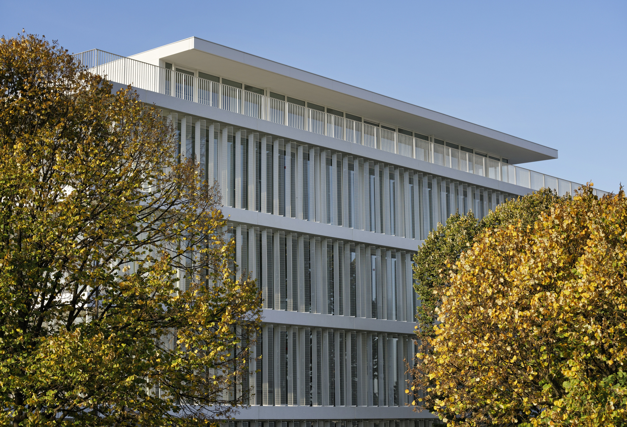 奥珀斯 33 号办公楼-15