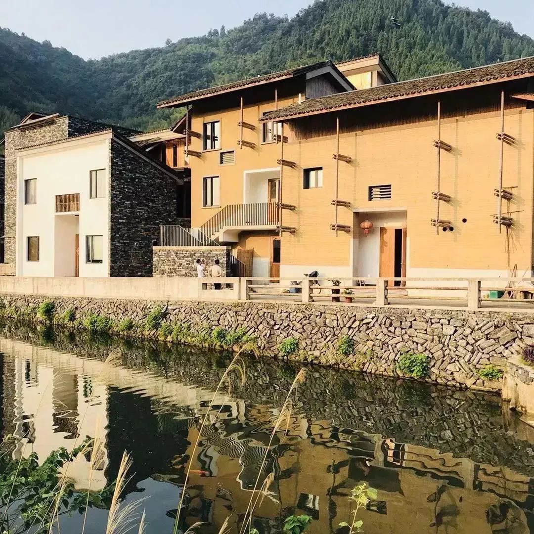 中国古动物馆(保定自然博物馆)丨中国保定丨王澍-97