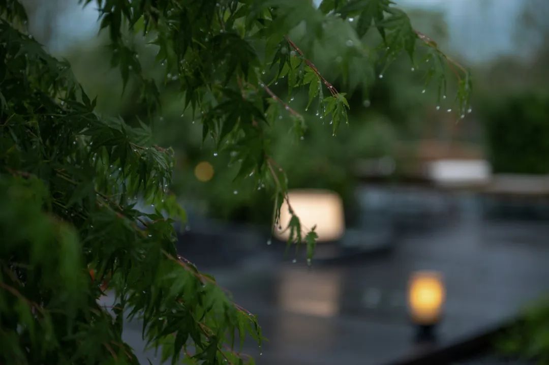 青城山外山，“无舍”即无得|绿地·无舍学院-88