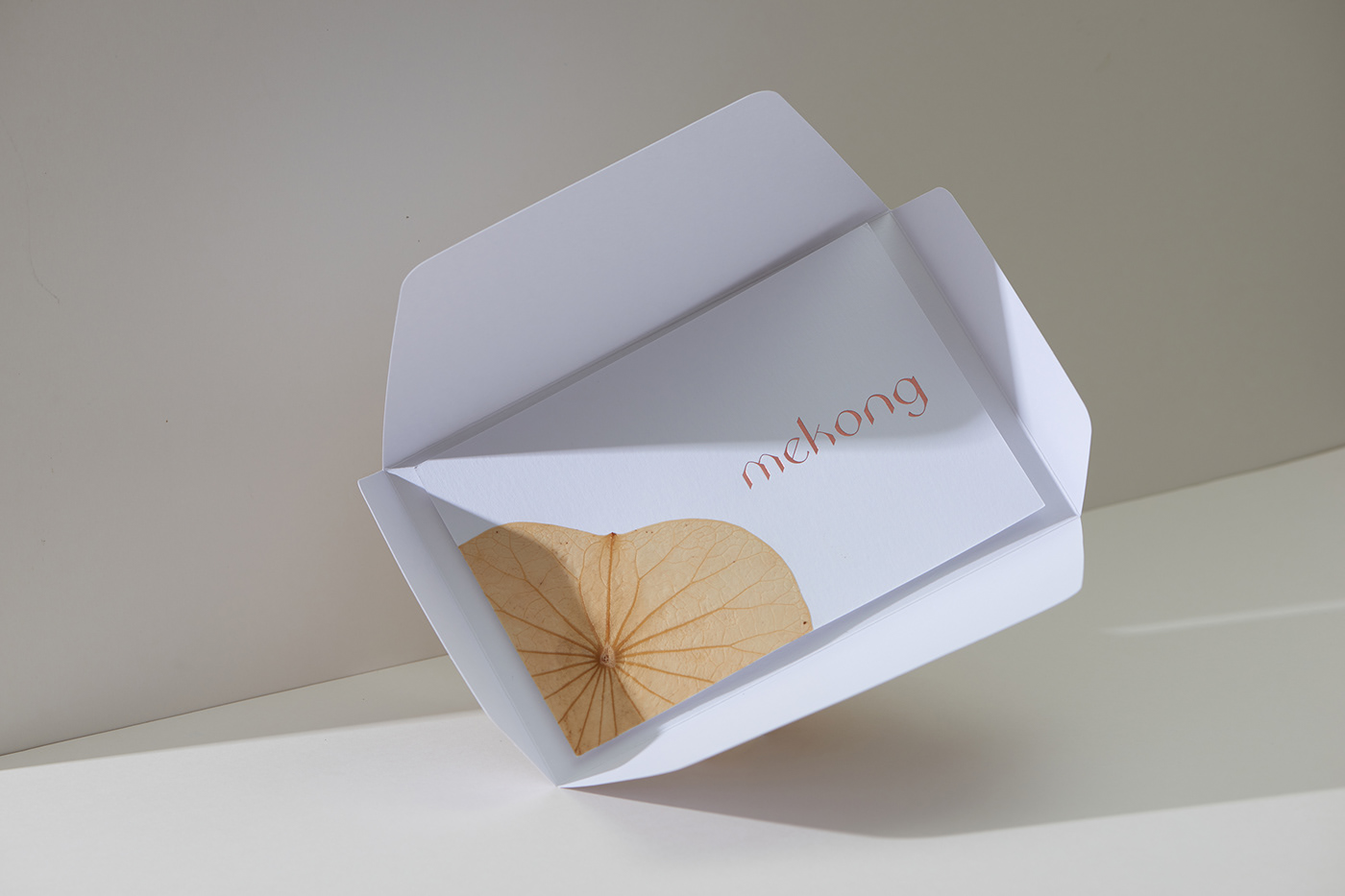 越南湄公河茶艺体验馆·品味莲香,感受湄公风情-17