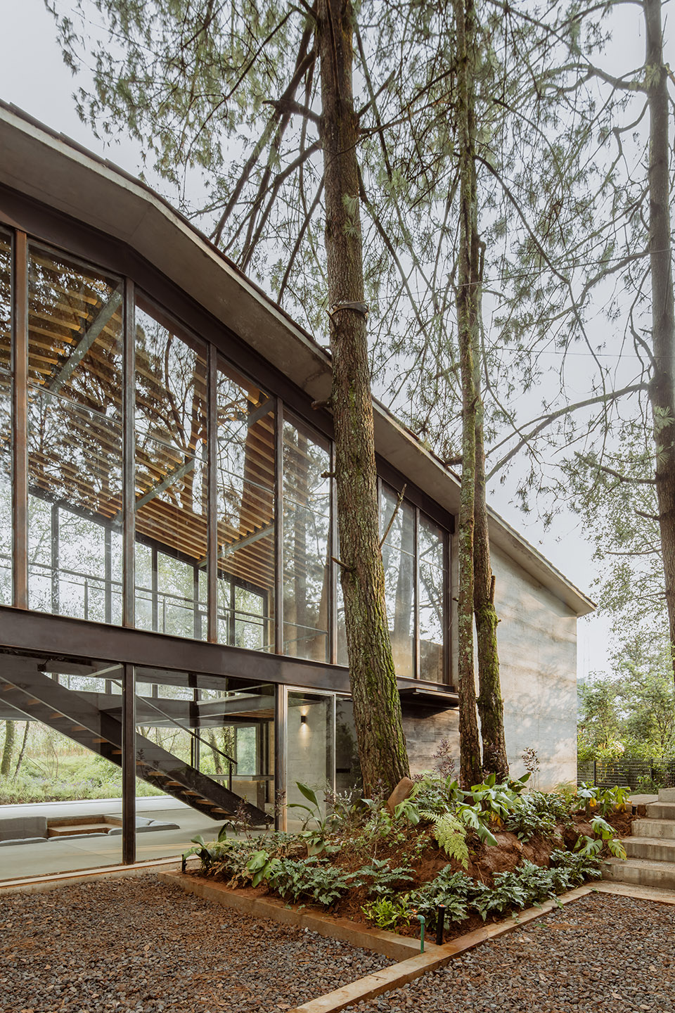 高树之家丨墨西哥丨1i Arquitectura-16